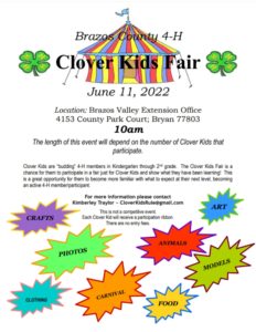 Clover Kid Project Fair Flyer